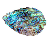 ABALONE BLUE PAUA SEASHELL HAIR BARRETTE 80's VINTAGE