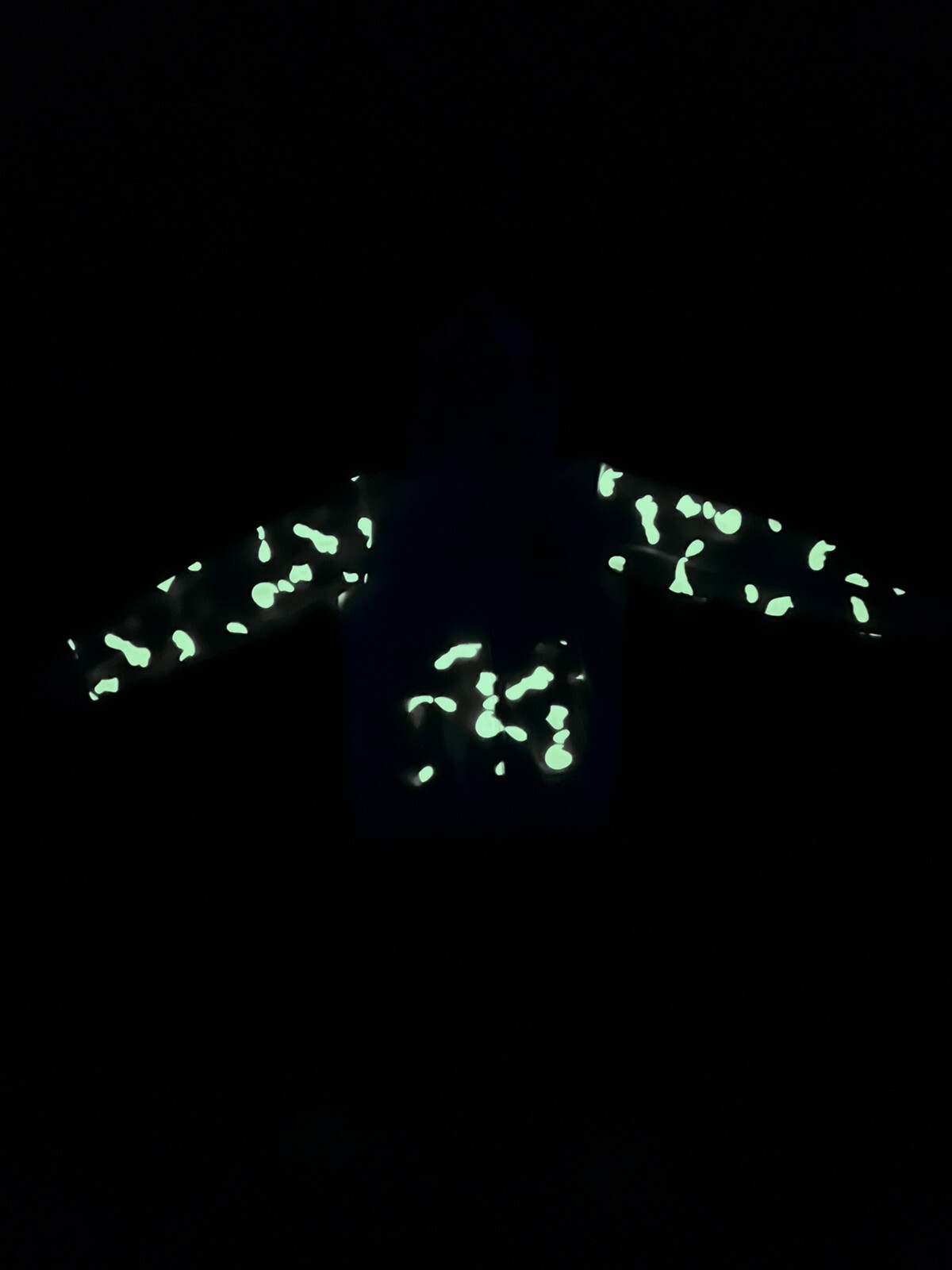 Picture 3 of 12
