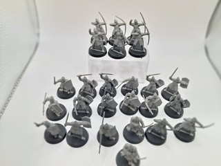 Warhammer Lord of the Rings Warriors of Minas Tirith E723