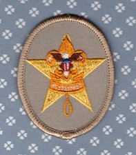 Rank Star -  Tan Oval - Plastic Back - Thread Break Missing star top  -Mint-