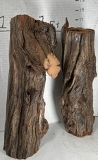 Driftwood 2 Pieces aquarium terrarium beach decor taxidermy Centerpiece