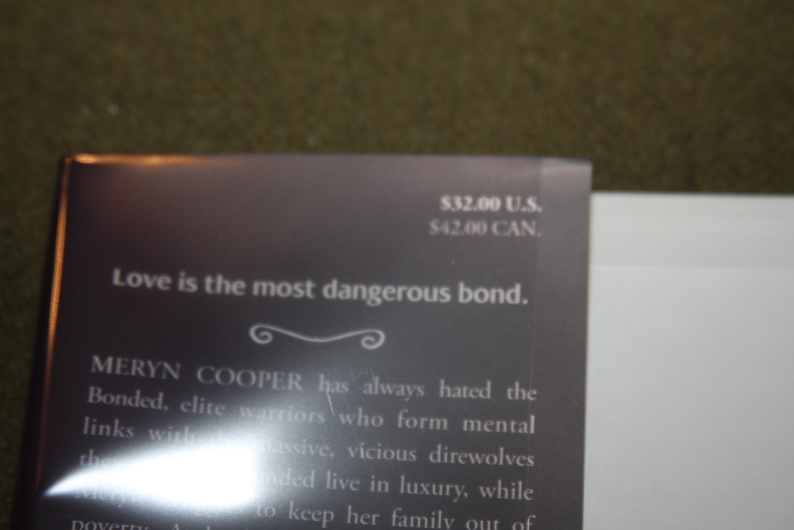 Dire Bound by Sable Sorensen 2025 HC 1st Printing Requited w/Sprayed Edges