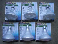 6 X 100W Watt R30 120V Medium Base Flood Light Bulb Frosted Reflector