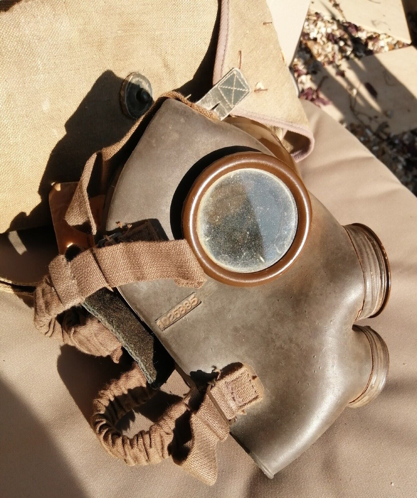 Picture 2 of 16