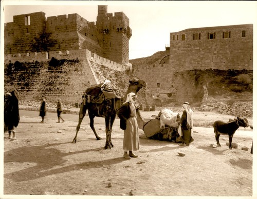GA285 Approx 1920s Original Photo ARAB MEN & CAMELS TOWER OF DAVID JERUSALEM