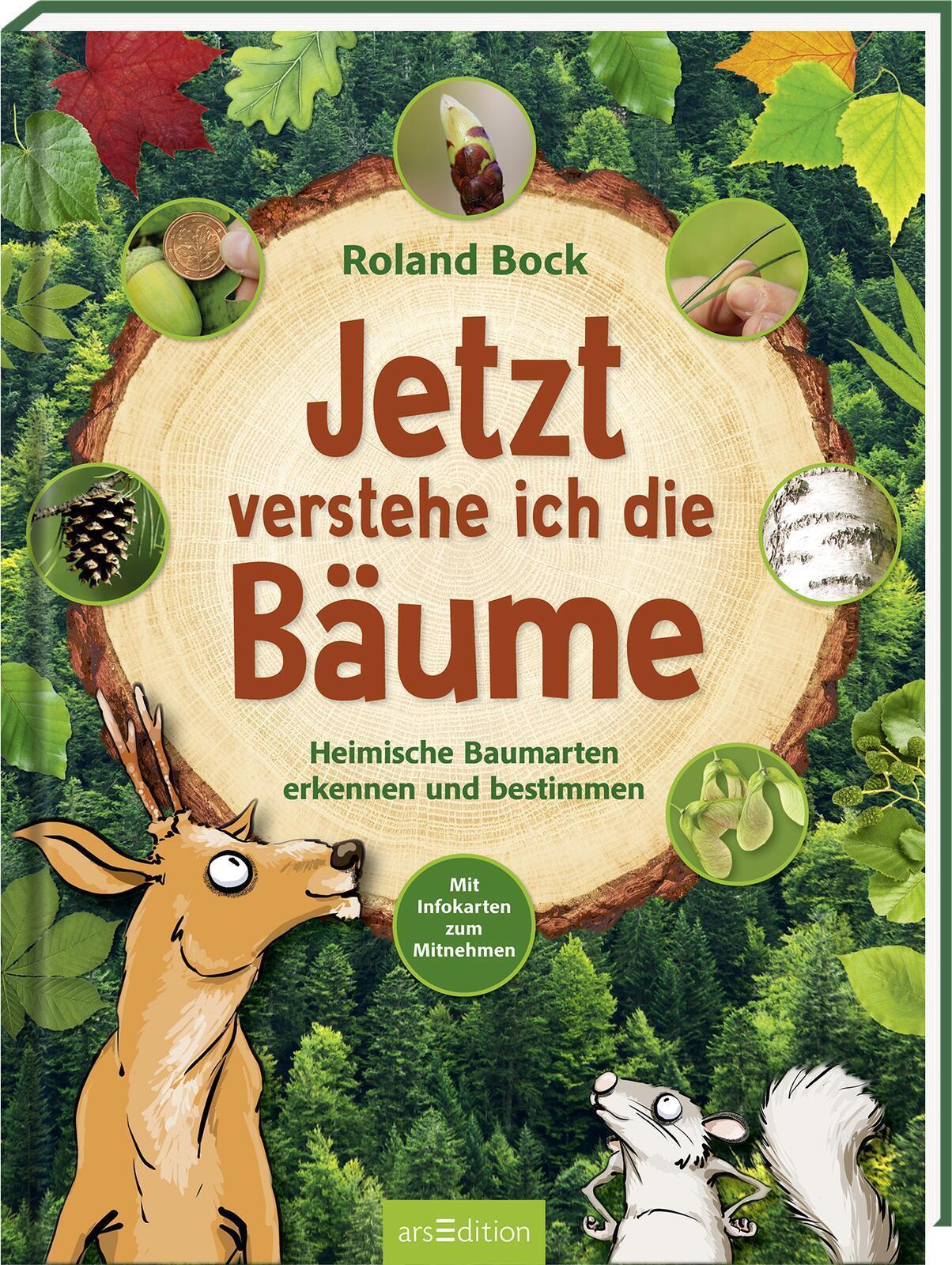 Thumbnail - Roland Bock Jetzt Verstehe Ich Die Bäume 9783845847030