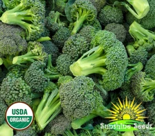 Waltham Broccoli Seeds (100) / ORGANIC / HEIRLOOM / FLORIDA GROWN