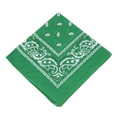 2 X Paisley Print Bandana 100% Cotton Head Warp Scarf Face Mask - USA Seller
