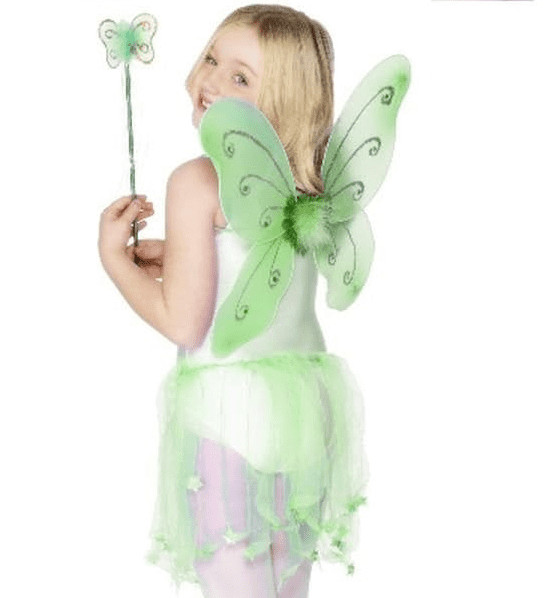 Girls Green Butterfly Wings And Wand