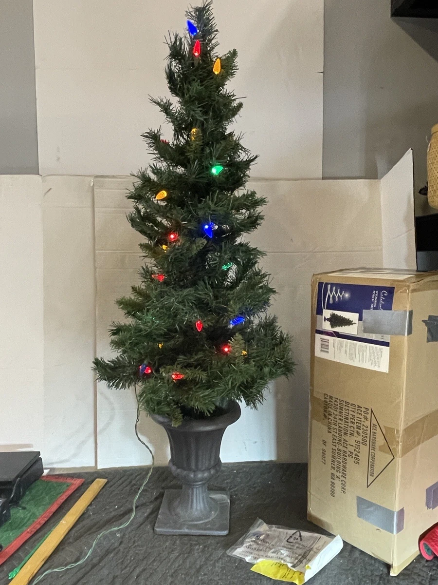 Lighted trees for porch deals