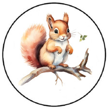 ADORABLE SQUIRREL ENVELOPE SEALS LABELS STICKERS PARTY FAVORS