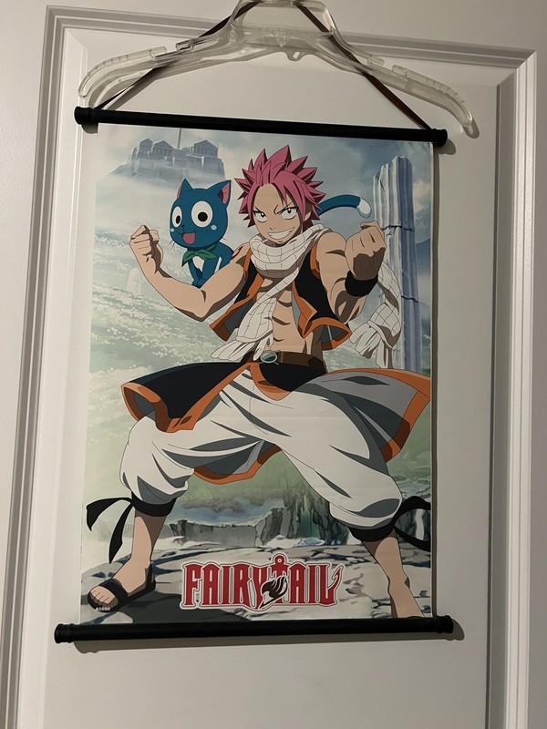 Fairy Tail Dragon Slayer Anime wall hanging Poster 