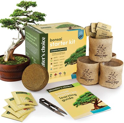 Bonsai Starter Growing Kit 15 Pieces Planter s Choice Gift Women Men Tree Grow