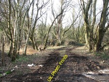 Photo 6x4 Track into Gazebo Covert New Rackheath  c2016