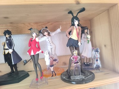 Rascal Does Not Dream of Bunny Girl Senpai Anime und Figuren Zum Anime