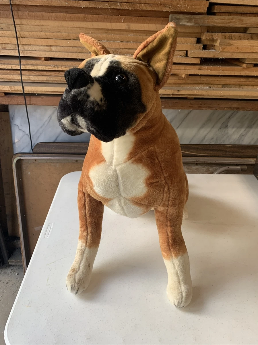Big boxer dog 2025
