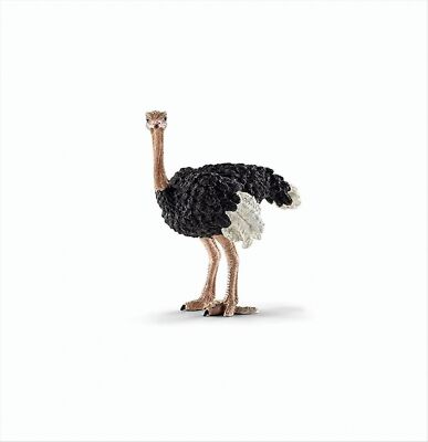 Schleich Strauß Hahn 14325 - Straußenprodukte Ab Hof