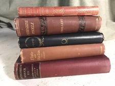 5 Antique Victorian Era Decorated Books Decor Shabby Chic Library NICE