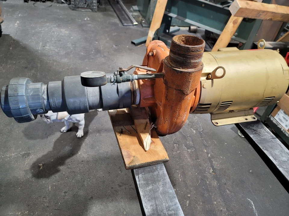 Berkley 10 H.P. 3/220-460V 1800 RPM, 封闭耦合离心循环泵 — 第 4/4 张图片