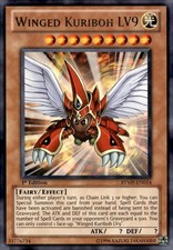 Yu-Gi-Oh Winged Kuriboh LV9 1st Ed. RYMP-EN014 Rare NM/LP x1