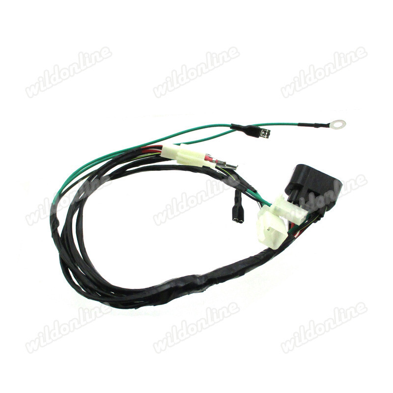 PIT DIRT BIKE PITBIKE YX ZONGSHEN 8 PIN CDI Plug WIRING LOOM HARNESS 150cc Z155 - Foto 5