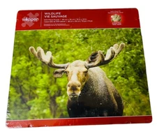 MOOSE JIGSAW PUZZLE HOPPER STUDIOS WILDLIFE NEW 500 PIECES BIG HORNS TIN BOX