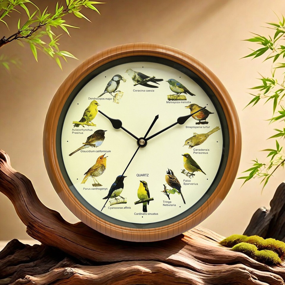 Singing Bird Wall Clock Quiet Bird Clock with Sound for Bedroom Kitchen ...