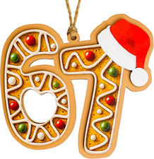 Funny Santa Ornament, Naughty Christmas Ornament, 67 Meme Holiday Decoration