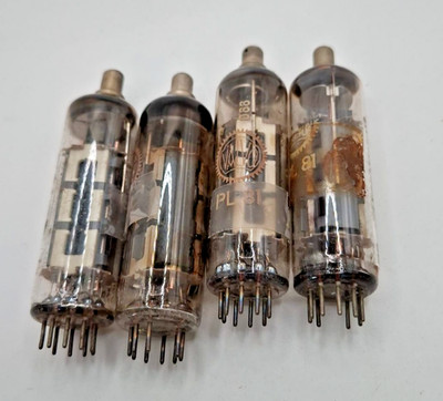 Paket Konvolut PL81  Röhre Radioröhre Elektronenröhre electron tube