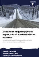 Dorozhnaq Infrastruktura Pered Licom Klimaticheskih Wyzowow Khalid Krami