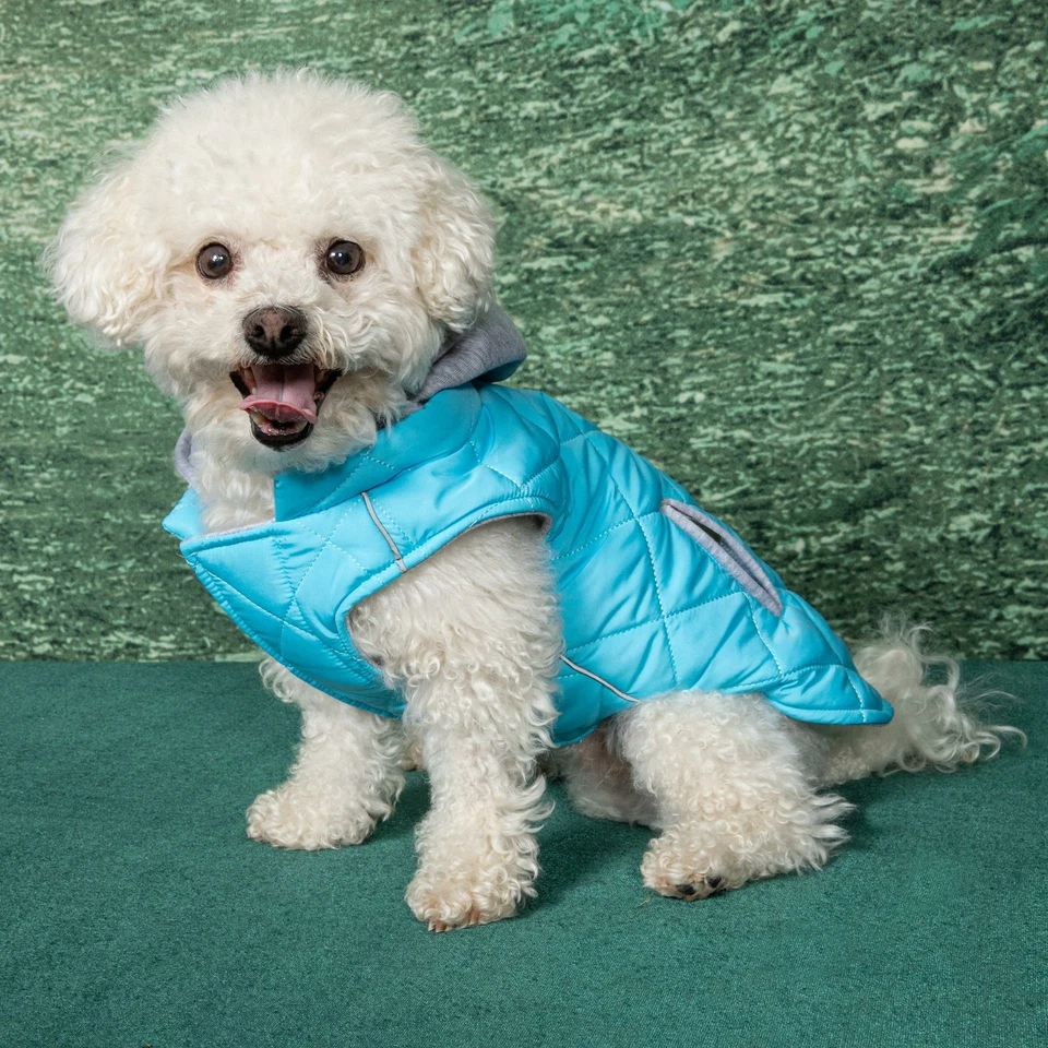 Dog Coat with Hoodie - Light Blue - Image 3 of 4