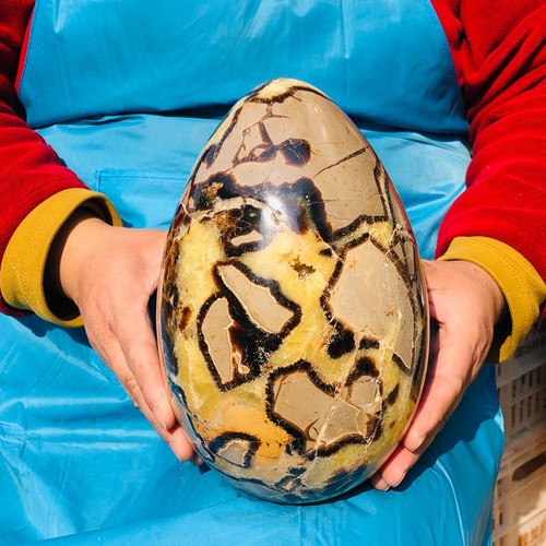 11.96LB Top Natural Dragon Septarian Crystal geode Quartz egg mineral Specimen - Picture 2 of 15