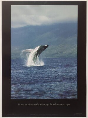 Wyland '' Wal Flug Zoll Maui Hawaii Wal Breach Fotografie Neu Ocean Kunst Poster