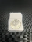 1995 $1 American Eagle .999 1 oz Silver Dollar Coin Walking Liberty Ungraded
