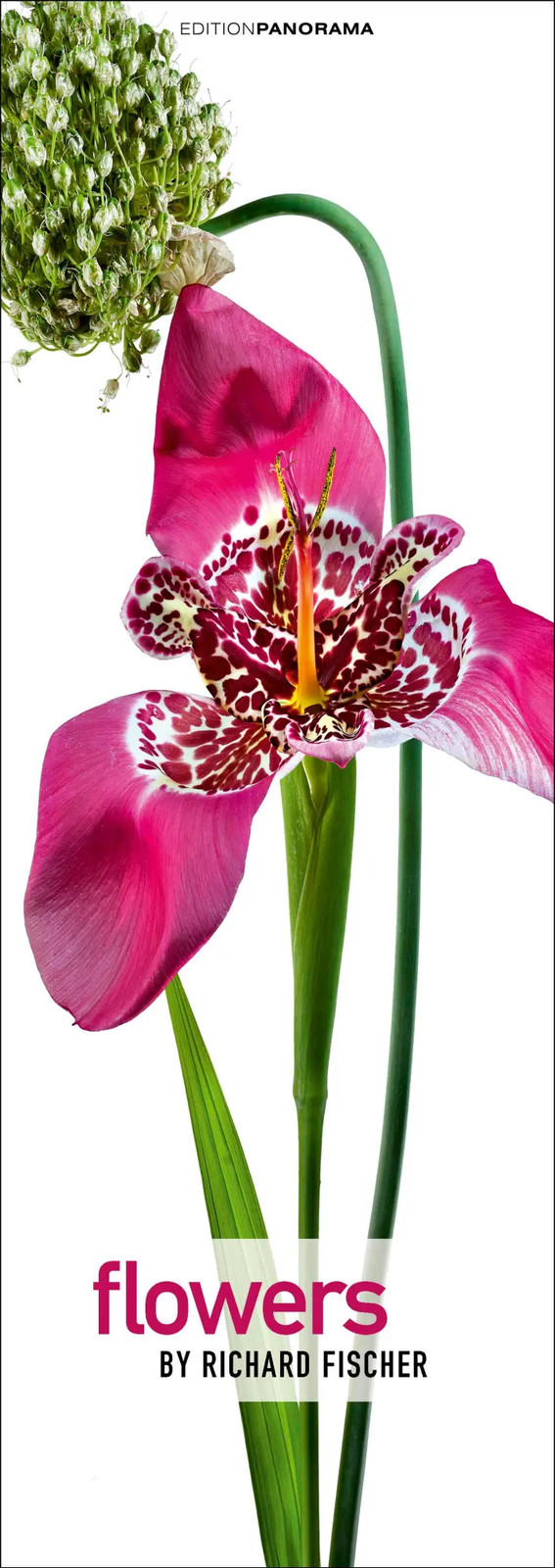 Edition Panorama Mehrfarbig Kalender, Flowers - Bild 2