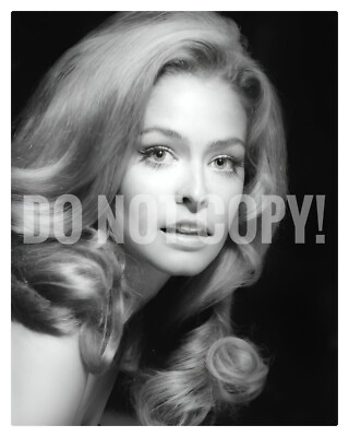 Farrah Fawcett Headshot - 8x10 Photo - Shot On 120 B&W Film - Charlie's Angels
