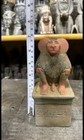 Bild 12 von 13