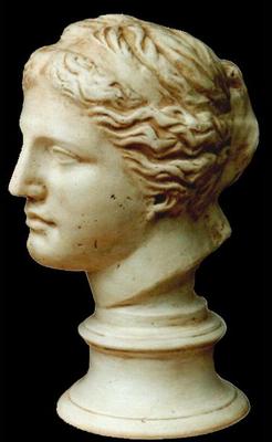Sculpture Aphrodite Greek Italian Statue Bust Goddess Love Beauty Gift Art 45cm