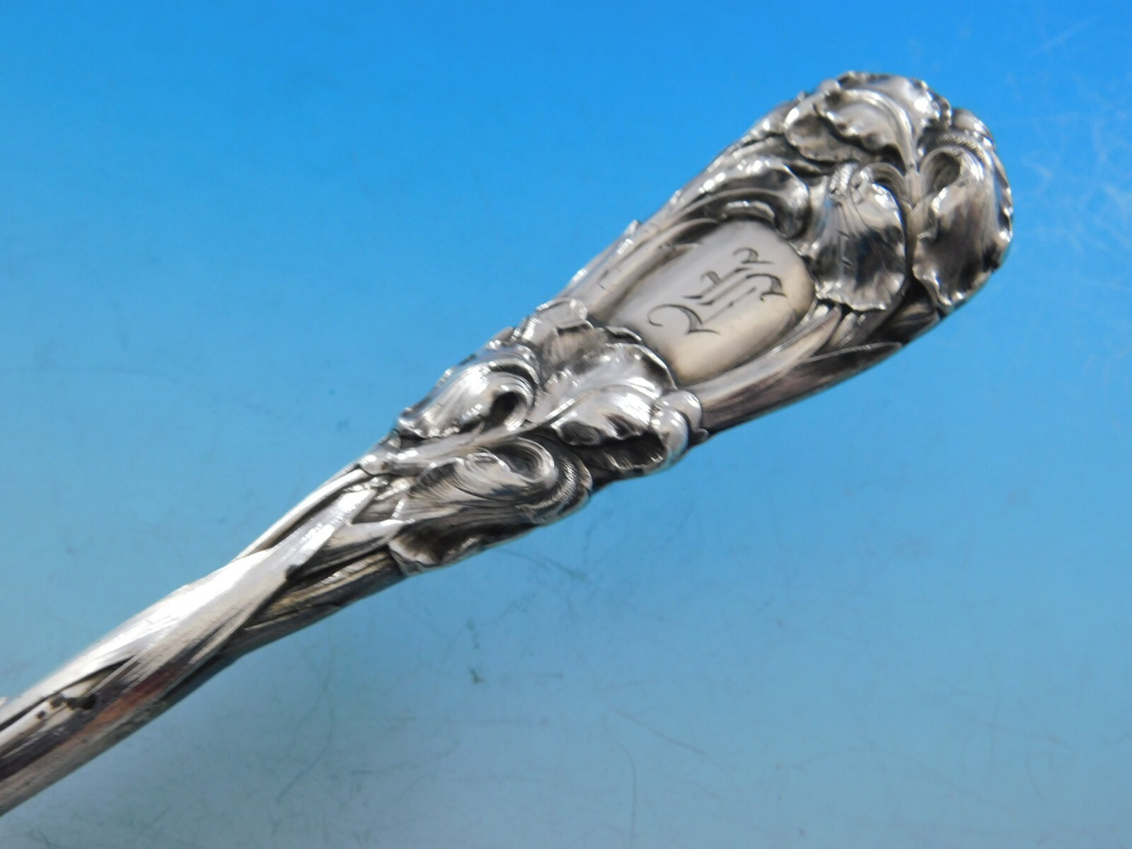 New Art by Durgin Sterling Silver Berry Serving Spoon GW with Irises 9 3/4"