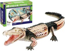 4D Vision Crocodile Anatomy Model, Detachable Organ Model 26 Components