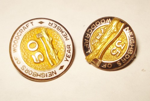 VINTAGE ENAMEL 2 KLEIN 1/10 10K GOLD PIN SET NICE DESIGN NR - Picture 3 of 5