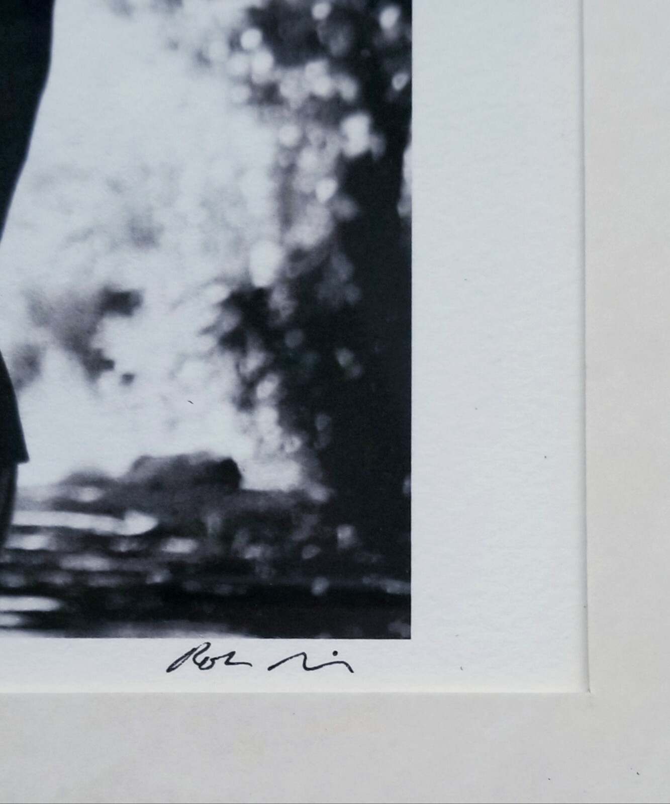 ROBIN RICE 1st-ed signed 1-of-25 equestrian horseback derby racing framed photo