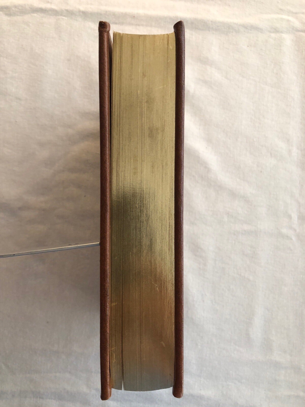 Picture 4 of 14