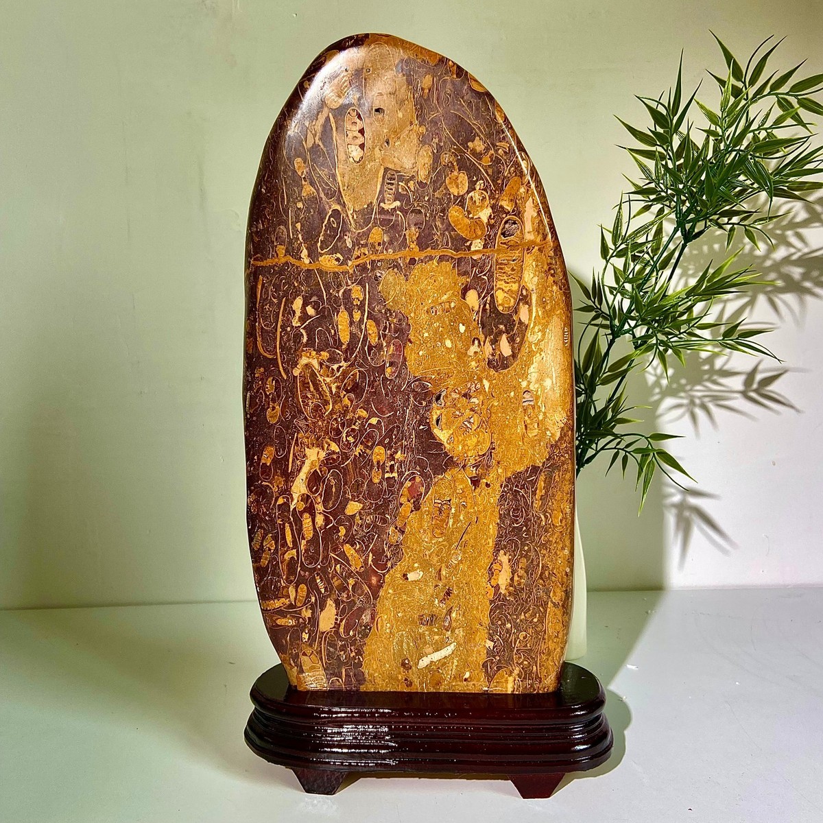 17.46LB Natural golden nanmu ornaments attract wealth