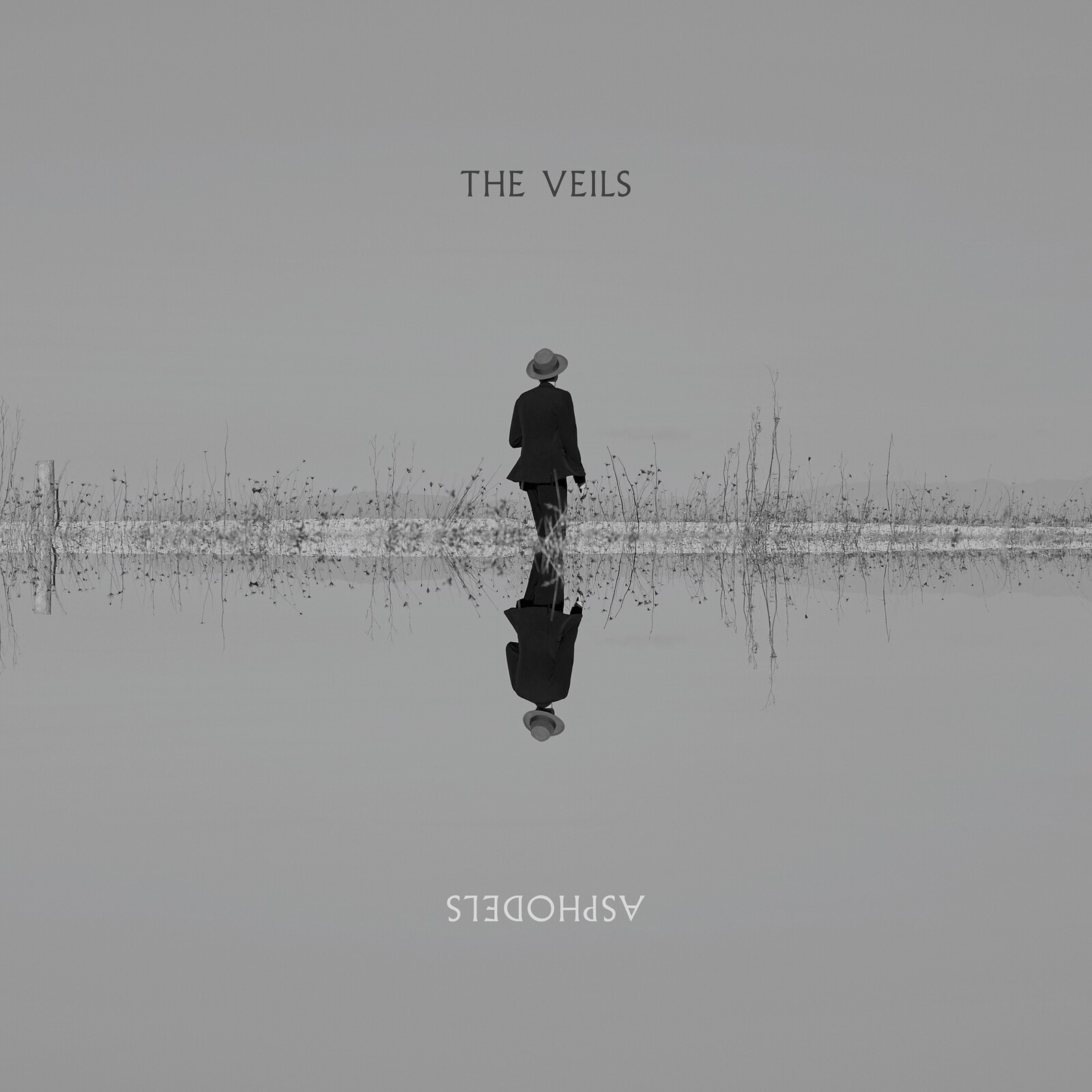 Veils Asphodels LP Vinyl NEW