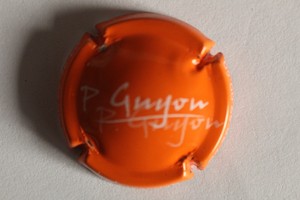 champagne p guyon