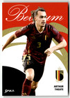 Daka 2025 Belgium No. BNFT-17-B Arthur Theate