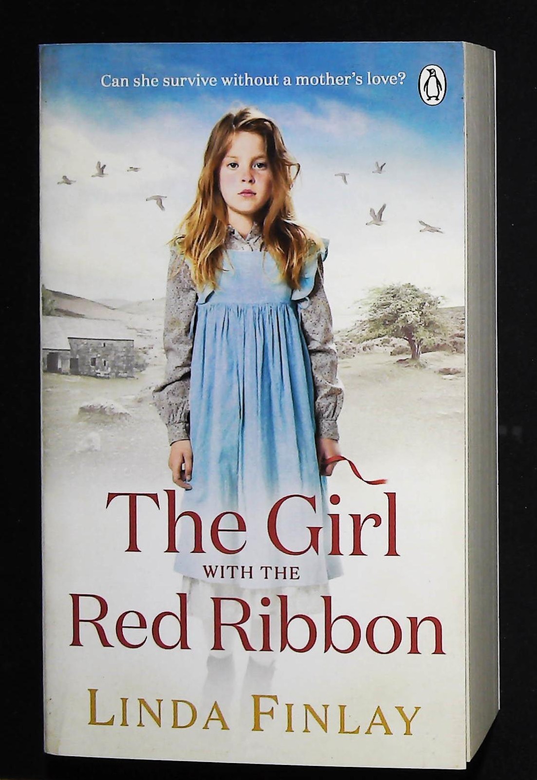 The Girl with the Red Ribbon Linda Finlay Book NEW Paperback Novel