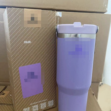 New Tumbler Cup with Straw Lid Insulated Stainless Steel Water Bottle Tumbler 30