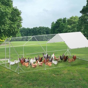 10 x 20 FT Metal Chicken Coop Walk-in Poultry Cage Hen Duck Run House w/ Cover